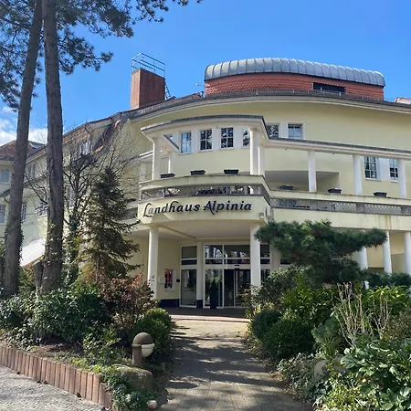 Alpinia Berlin