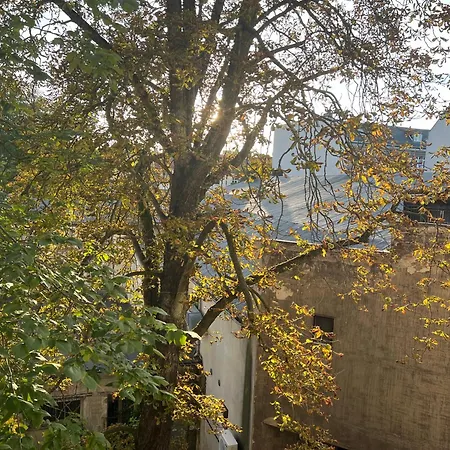 Schillerkiez Helle Zentrale Mit Berliner Charme Apartment