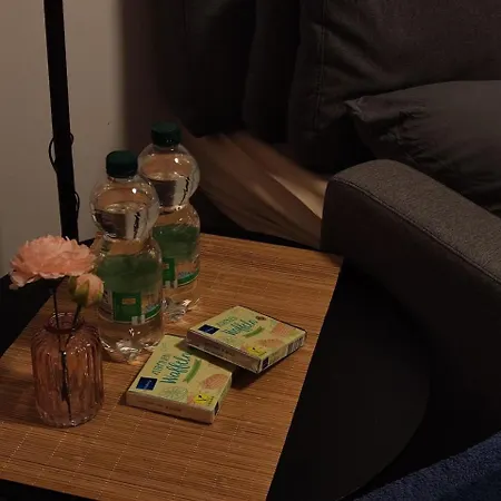 Apartment Luxurious Studio In Mitte Next To The Central Train Station Hauptbahnhof *