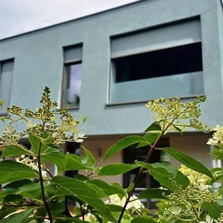 Amber In Mahlsdorf *