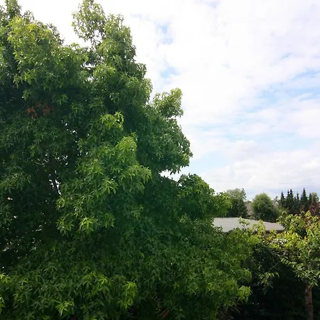 Amber In Mahlsdorf *