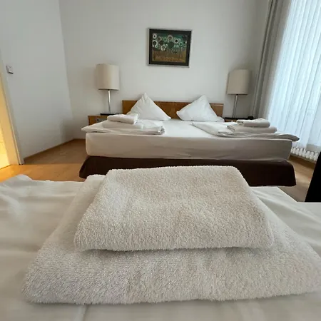 Erlanger Hof מלון 3*