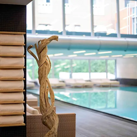 Hotel Pullman Schweizerhof 5*