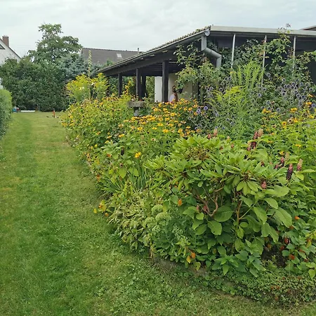 Holiday home 'am Rosenhag'