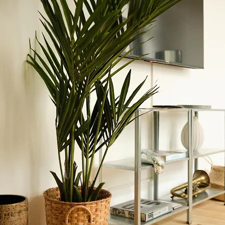 Modern Design 75sq In Mitte Appartement Berlin