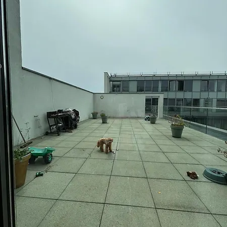 Wunderschoenes In Einem Grossen Neben Dem Brandenburger Tor Und Vom Adlon Homestay Berlin