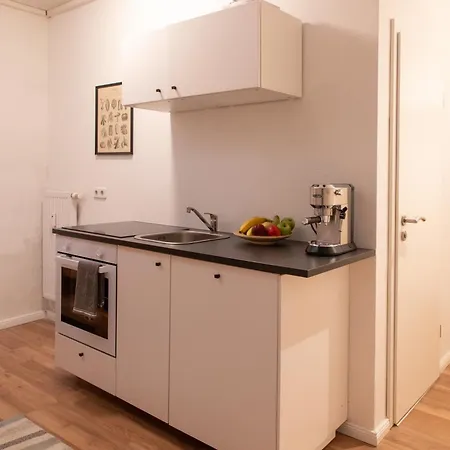 Apartment Homely - Spacious Flat Quiet, Friedrichstrasse, River *
