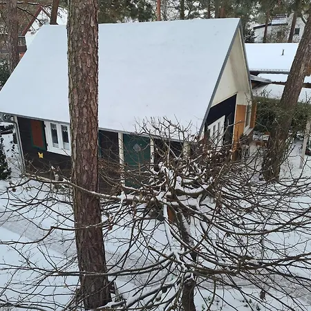 Vacation Home, Berlin