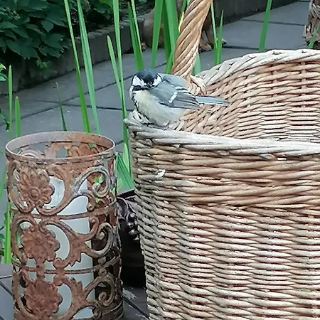 Feriepark Im Idyllischen Garten Berlin