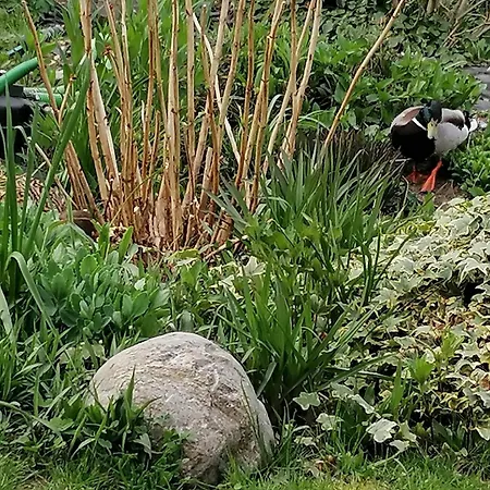 Im Idyllischen Garten Feriepark *