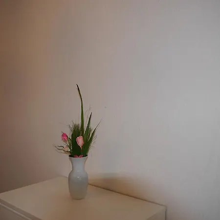 Fidelis 24 * Berlin