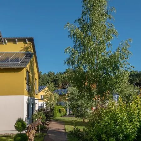 Ruebezahl Haus 22 Heide Holiday home *