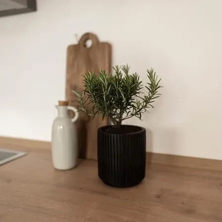 Design With Garden Apartment *