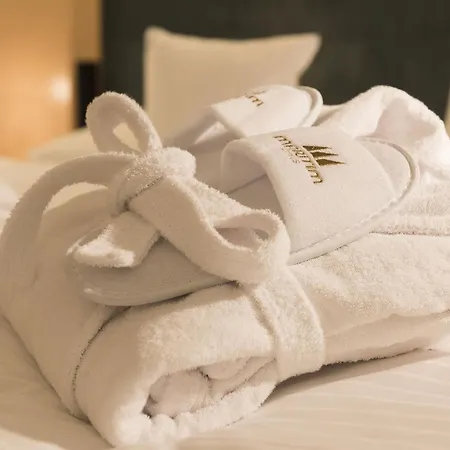 Maritim Proarte Hotel
