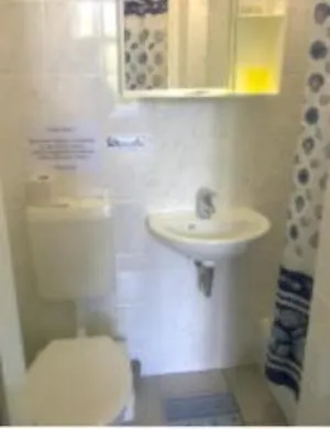 Bongard Berlin