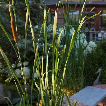 Blumenbach Berlin
