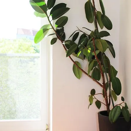 Berlincity Hostel Berlin