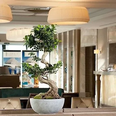 米特泰坦尼克康福特酒店 酒店