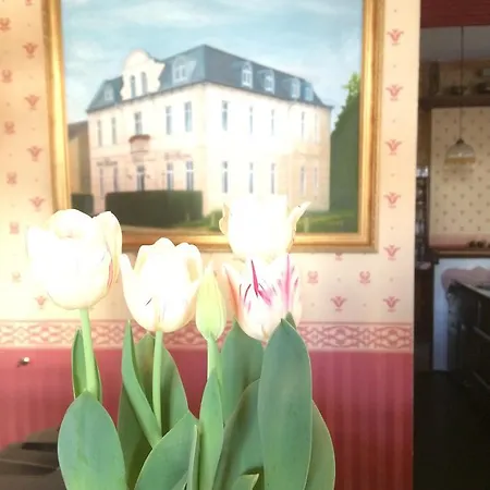Guest house Alt-karow 3*