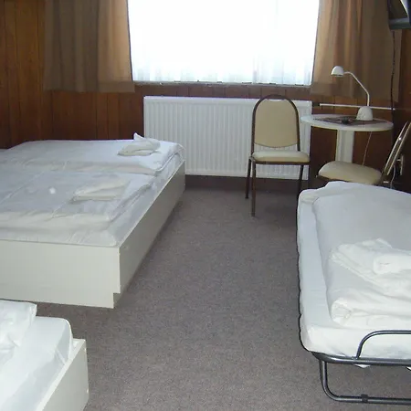Central-hotel Tegel 2*