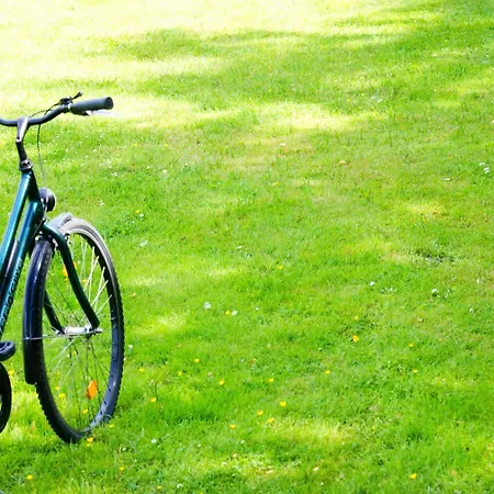Tiergarten
