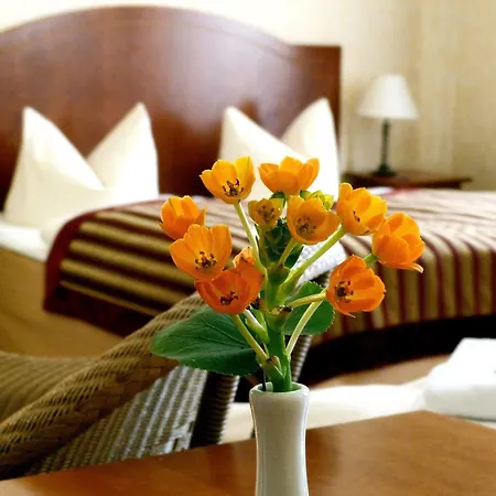 Hotel Safestay