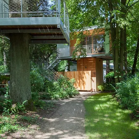 Urban Tree House *