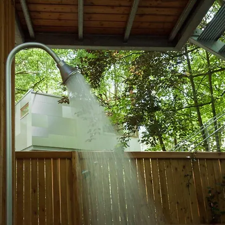 Apartment Urban Tree House