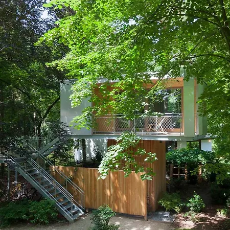 Apartment Urban Tree House