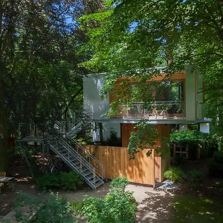Urban Tree House *