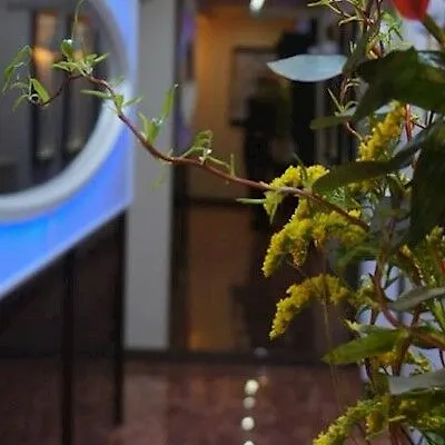 Klassik Otel 3*