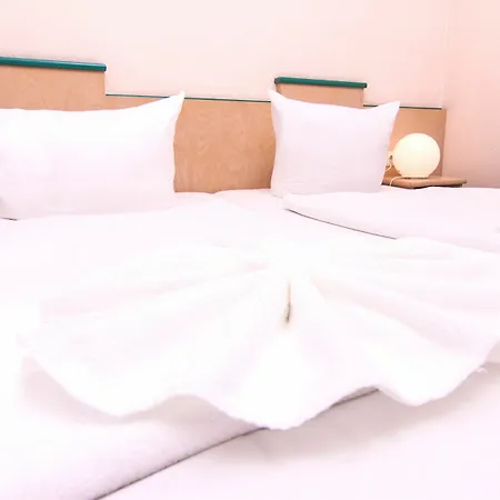 Guest house Hotel-pension Odin 2*