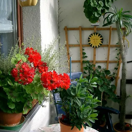 2-zimmer-ferienwohnung 