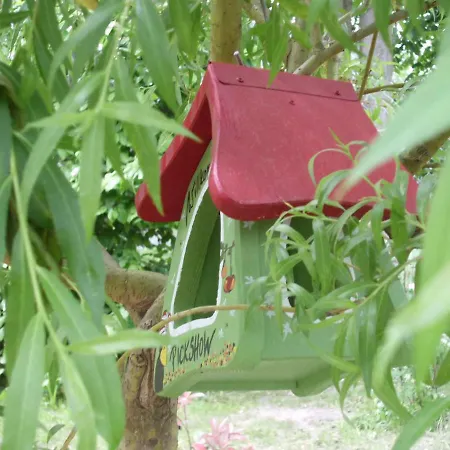 Homestay Ferienwohnung Mit Garten