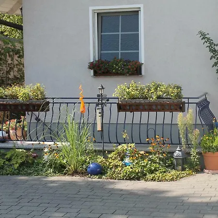 Satama Apartment *