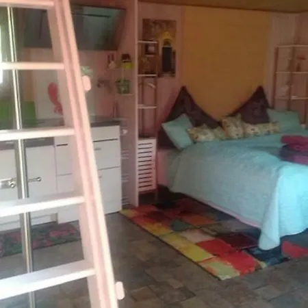 Ferienhaus Kleine *