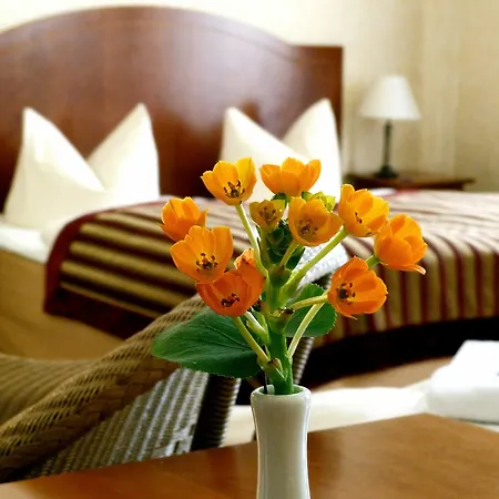 Safestay Hotel 3*