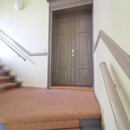 Apartment New - Charmante In Mitte-schlegelstrasse