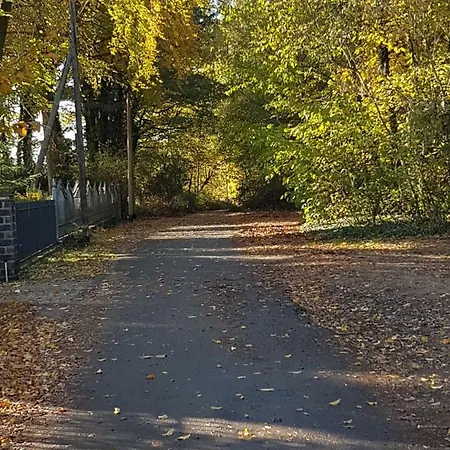 Am Krossinsee