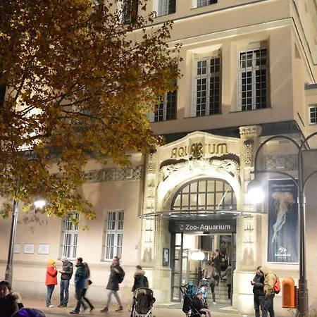 Appartement Niederschoenhausen *