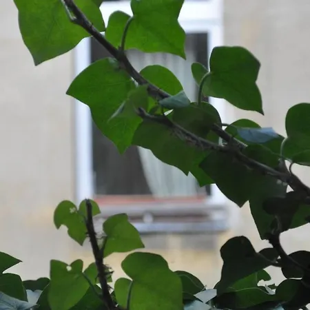 Freiraum Kreuzberg Ostello *