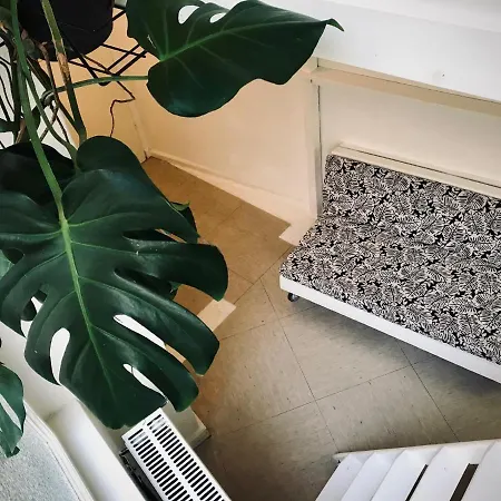 Lekkerurlaub Hostal