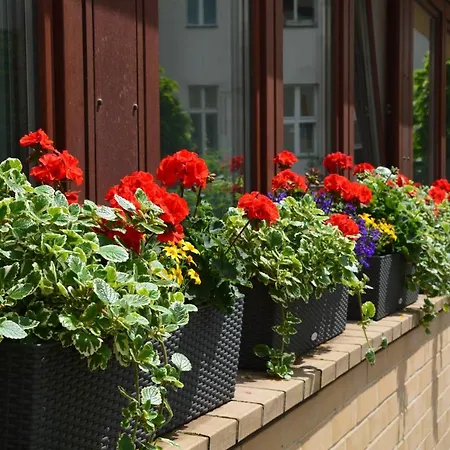 Hotel Hotel Aquino Berlin 3*