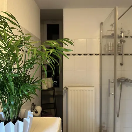 Habitación en casa particular Urban Oasis In *