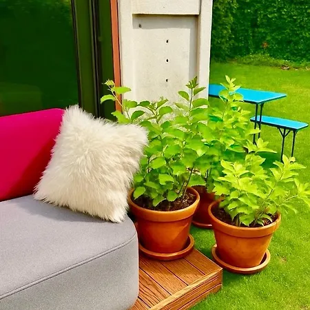 Designer Tiny House With Wraparound Sun Terrace & Garden Lounge 柏林