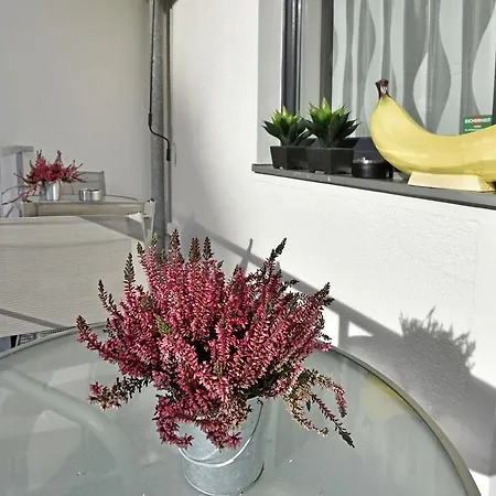 Bananas Hotel And Guesthouse Berlin Berlin