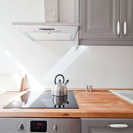 Magnificent Turn Of Century Flat Appartement Berlin