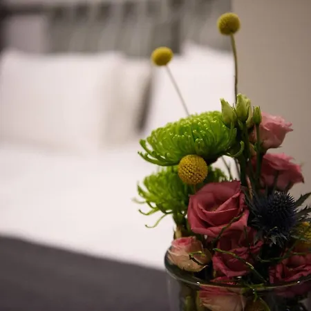 Gæstehus Hotelroom In N6 Prenzlauer Berg Berlin