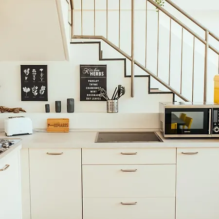 Fantastic Loft With Balcony Apartment