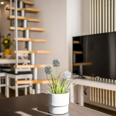 Industrial Loft In Mitte Apartment